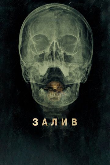 Затока фільм (2012)