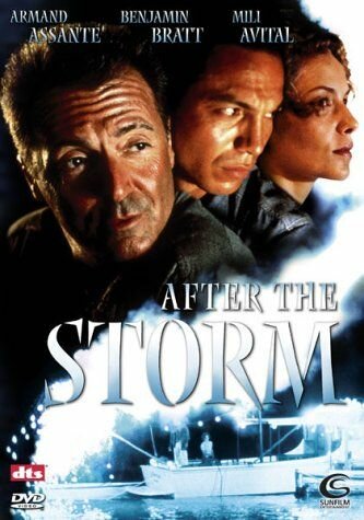 Після шторму фільм (2001)