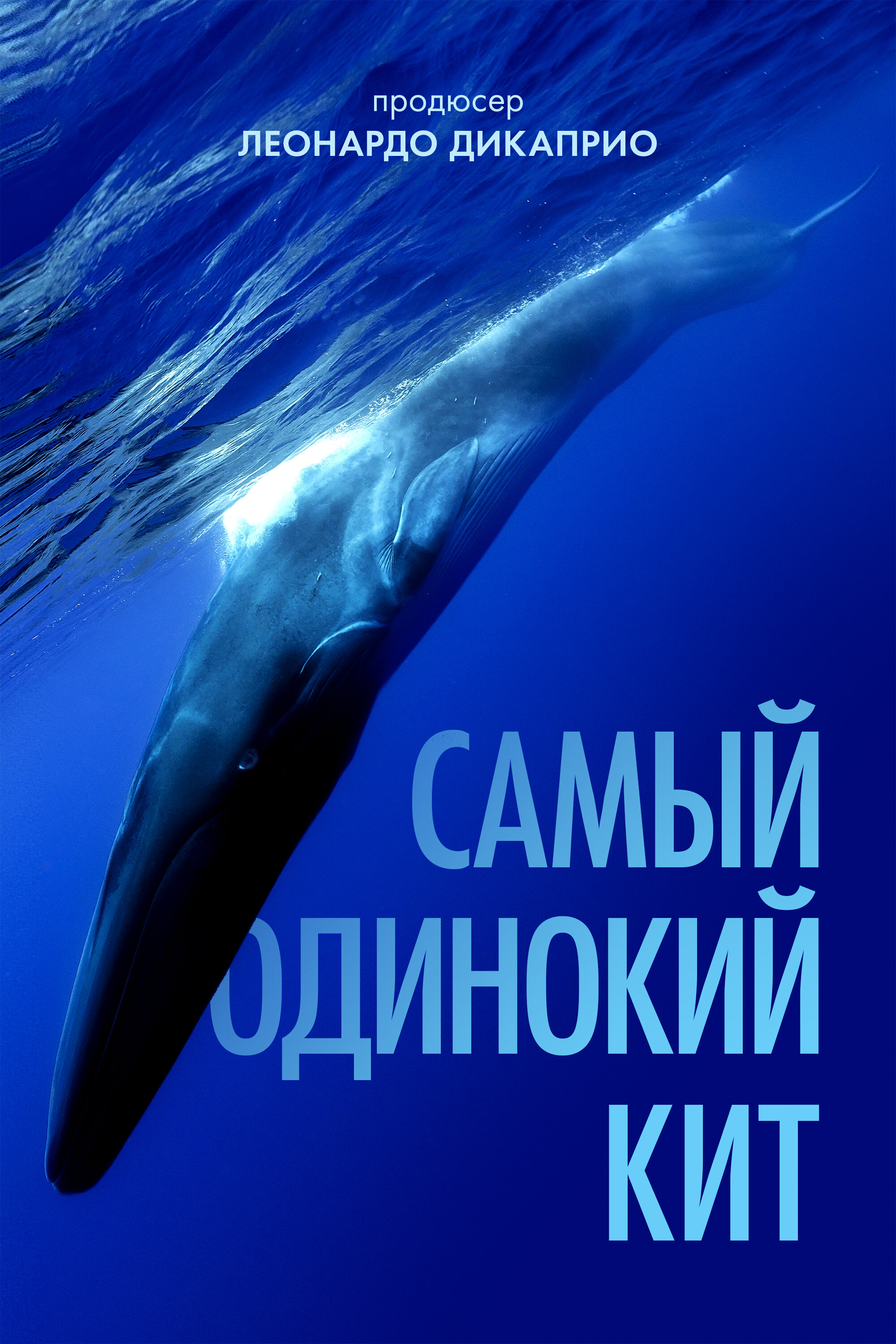 Найсамотніший кит фільм (2021)